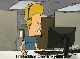 Beavis saying 'I understand your frustration'